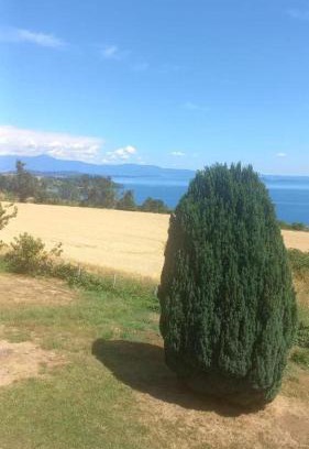 La Union Appartement | Grandioso alojamiento en el Sur cercano a Osorno y Valdivia