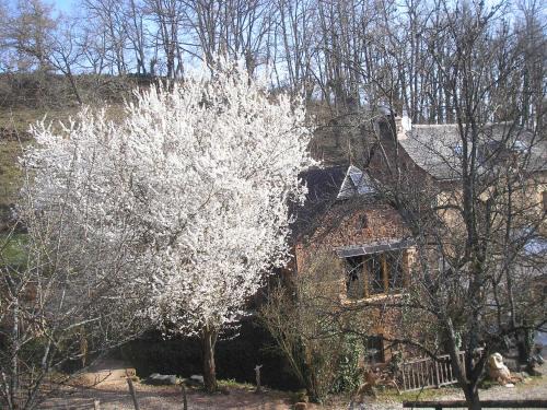 Goutrens Maison | grange rénovée en pleine nature