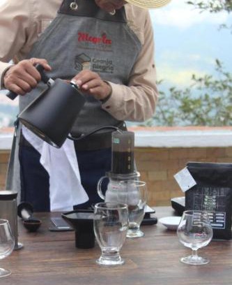 Ejido Maison | Granja, Cafetalera Alegría 1