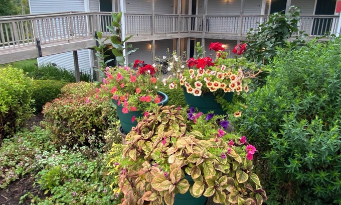Lanesboro Hôtel | Green Gables Inn