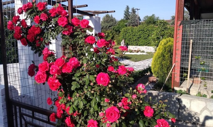 Aridaia Maison | Green house - Apartment in Aridaia-Loutra Pozar