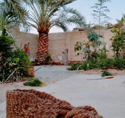 Siwa Maison | Green House