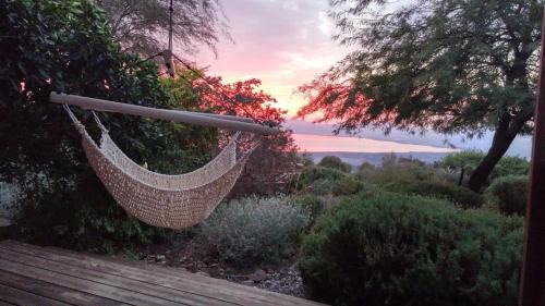 Ma'ale Gamla Cabine | green island