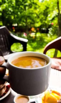 Minapin Maison | Green leaf Guest house