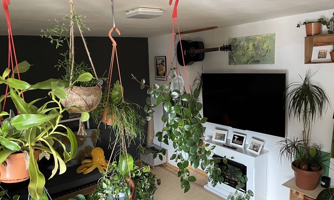 Dreimuhlen Appartement | Green oasis in the heart of Munich.