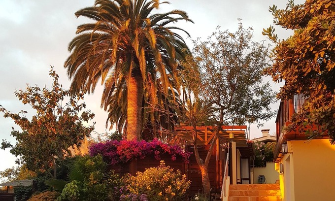 La Orotava Cabine | Green oasis in the north of Tenerife