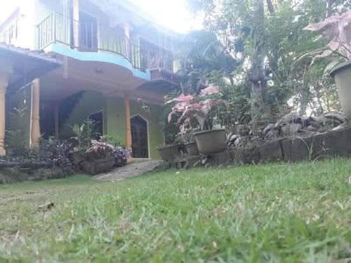 Dambulla Maison | Green View