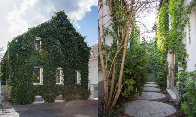 Darmstadt-Eberstadt Maison | Gruppenhaus Darmstadt