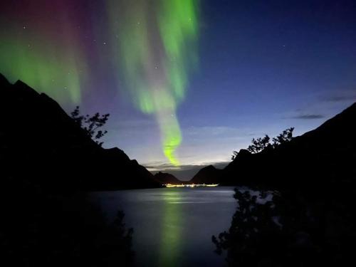 Torsken Maison | Gryllefjord