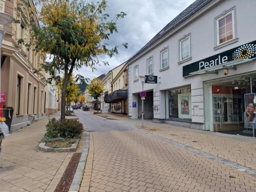 Gloggnitz Appartement | Gudzevic FU A - 5