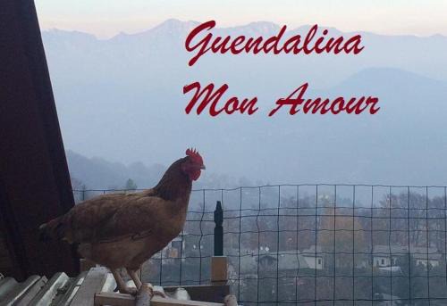 Roncola Appartement | Guendalina Mon Amour