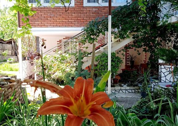 Mirzaani Maison | Guest house and Cuisine by Meri Poppins
