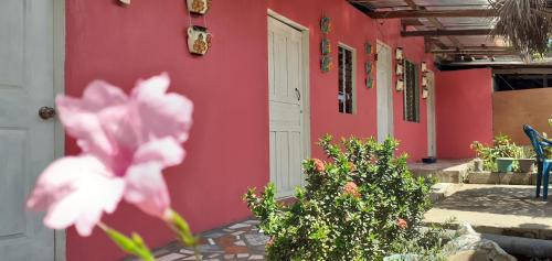 Moyogalpa Maison | Guest House Nena