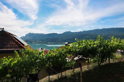 Keutschach am See Appartement | Guesthouse am See LOOM