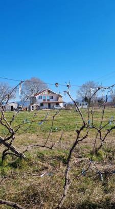 Sakës Maison | Guesthouse Gjegji