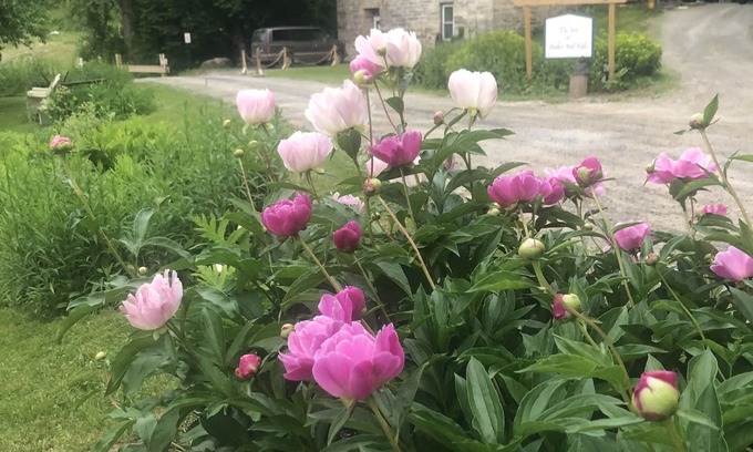 Canaan Maison | Rustic Inn in the Shaker Tradition