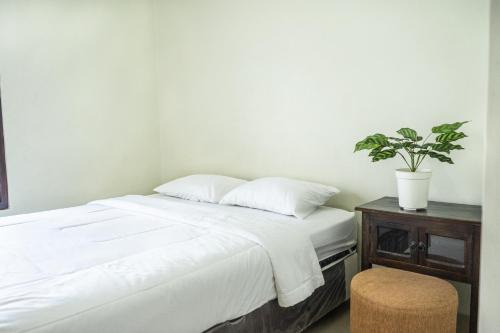 Buleleng Maison | Gumitish Guest House Singaraja