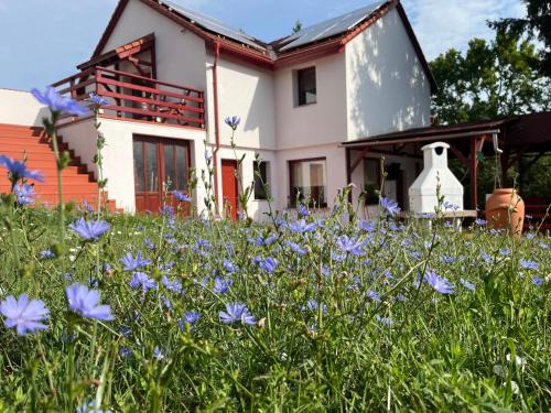 Veroce Appartement | Gyimesvölgy Vendégház