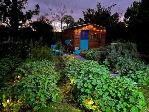 Greyton Appartement | Gypsy Mama in Greyton