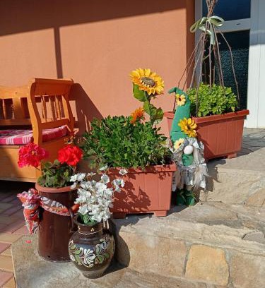 Mako Appartement | Hársfa apartman