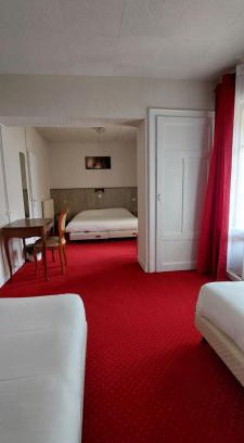 Evian-les-Bains Hôtel | Hôtel du Palais