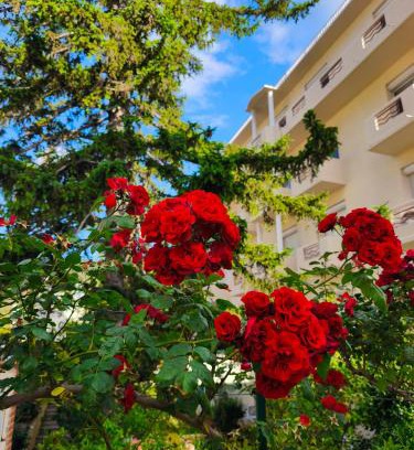 Amelie-les-Bains-Palalda Hôtel | Hôtel LA PERGOLA