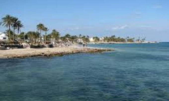 Houmt Souk Hôtel | Hôtel Les Palmes d'Or