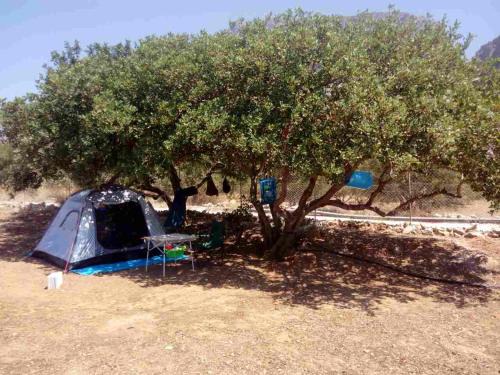Lassithi Prefecture Autre | HA Camp