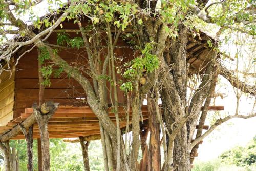 Habarana Autre | Habarana Wildwood Treehouse