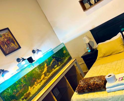 Cochabamba Maison | habitación relax, hermosos peces y plantas