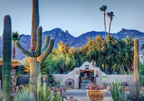 Tucson Station Balnéaire | Hacienda del Sol Guest Ranch Resort