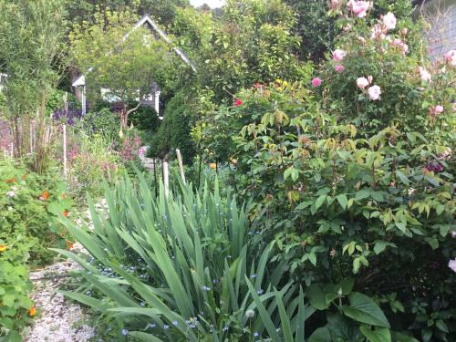 Hahei Appartement | Hahei Kereru Cottage