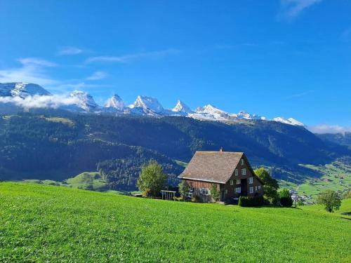 Wildhaus-Alt St. Johann Appartement | Haldenhof Schwizer