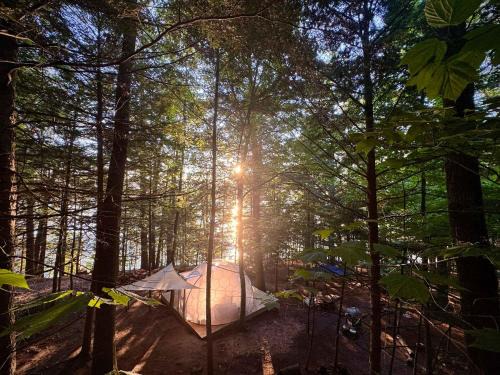 Monmouth Maison | Hammock Haven Island Dome