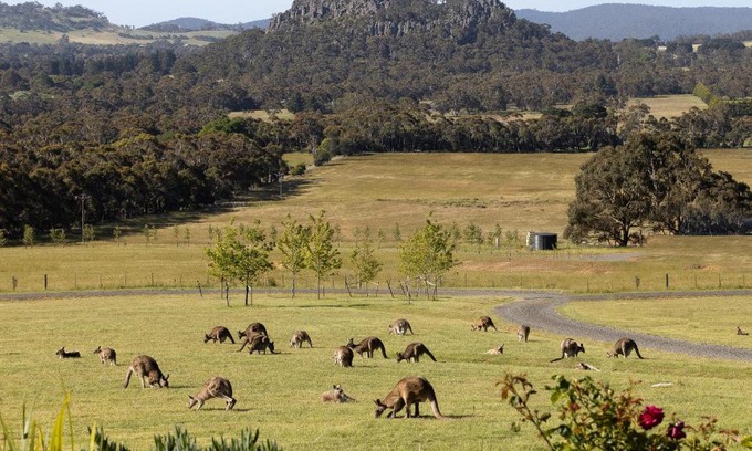 Woodend Lit Et Petit-Déjeuner | Hanging Rock Views