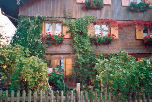 Bad Oberdorf Appartement | Haus Lisa Wittwer