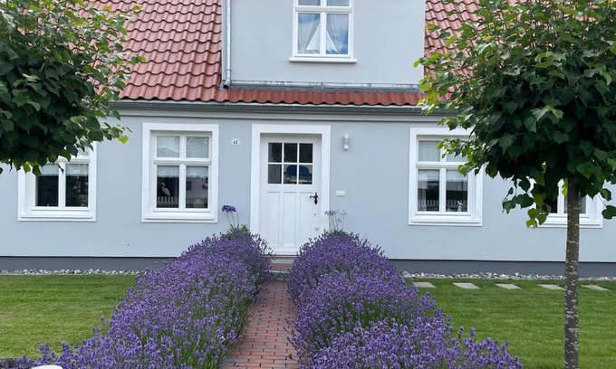 Greifswald Appartement | Haus Vicus