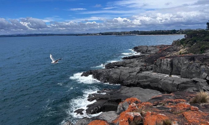 Devonport Cabine | Have a Tasmanian adventure—beautiful scenery/plenty of room options