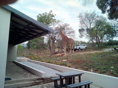 Hazyview Cabine | Hazyview Buffalo Game Lodge