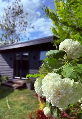 Andover Lit Et Petit-Déjeuner | Heath Vale Stay