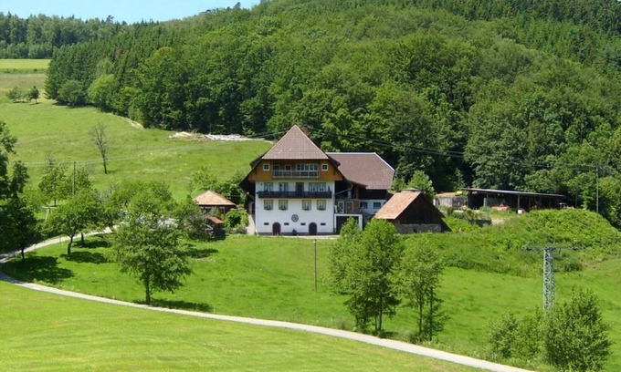 Hofstetten Appartement | Heizmannshof Schwalbennest