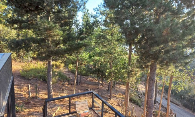 Talca Cabine | Hermosa cabaña con vista al lago Vichuquén - Región del Maule, Chile