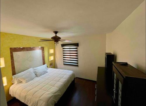 Tequila Appartement | Hermoso departamento con jacuzzi