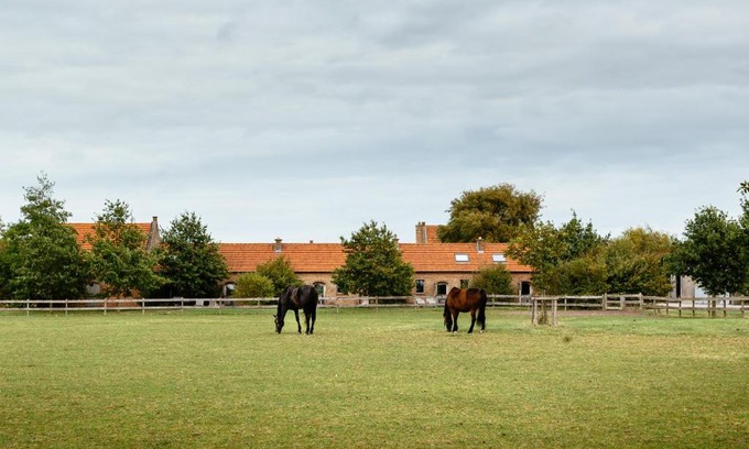Slijpe Maison | Het Zwaluwnest