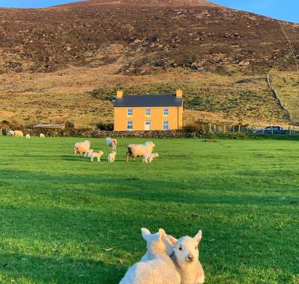 Ring of Kerry Maison | Hidden Hills Waterville - Private Farmhouse