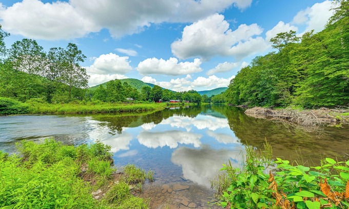 East Branch Cabine | Hike, Fish & Kayak: Delaware River Cabin w/Views