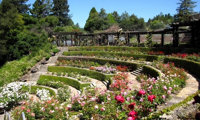 Pleasant Hill Hôtel | Hiking at Ridgeview Open Space! 3 Pet-friendly Units w/ Self Parking & Starbucks
