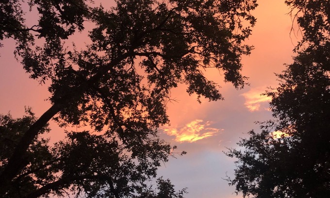 Austin Appartement | Hill country Studio, easy access to Downtown and Airport