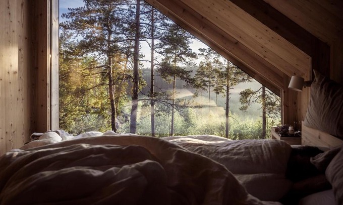 Inga Hôtel | Hilltop Forest