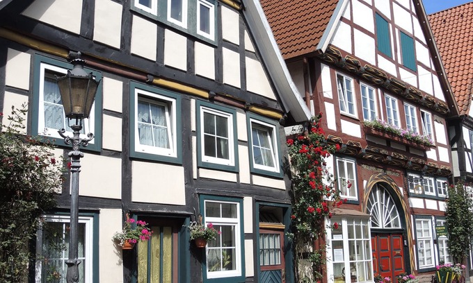 Rinteln Copropriété | Hist. permet maison à colombages de 1571, malgré le centre de vie calme, Animaux